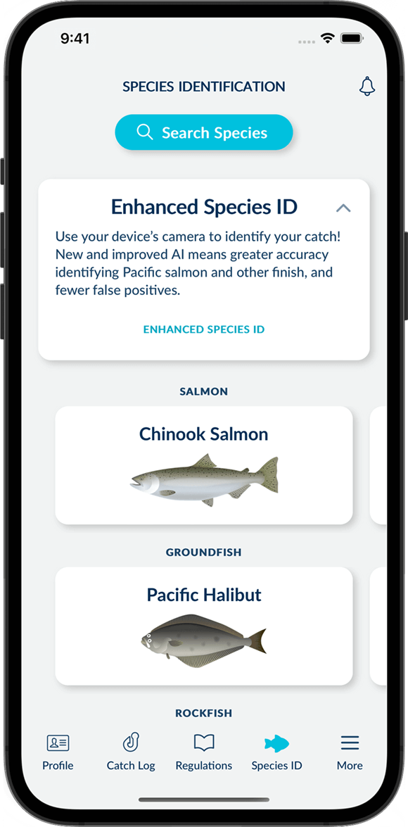 Screenshot of the FishingBC App showing the Species Identification feature